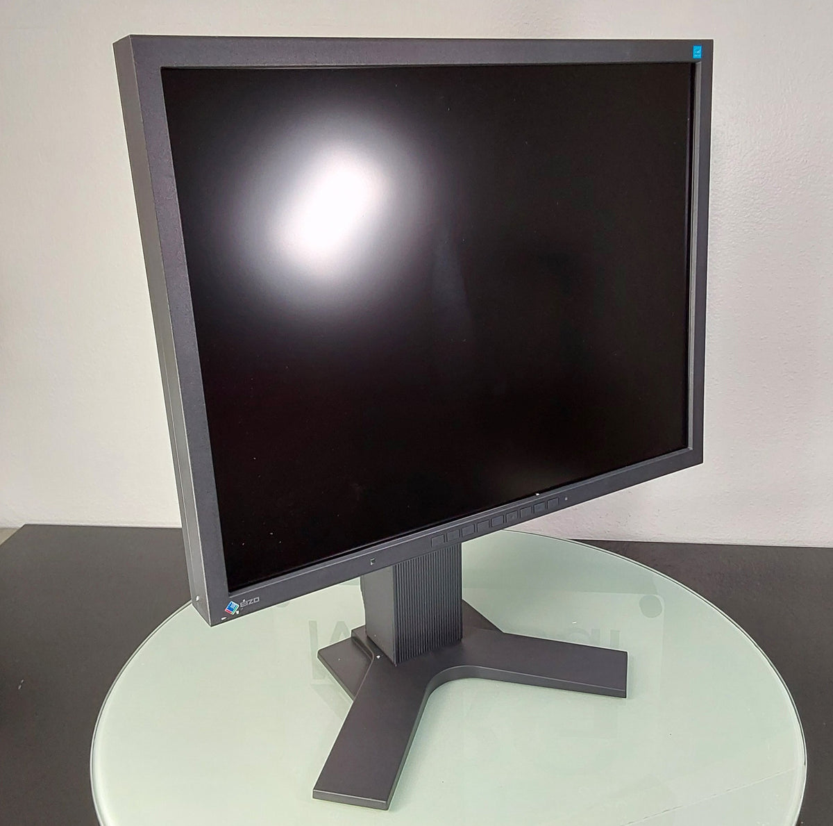 Eizo FlexScan S2133 Color LCD Monitor